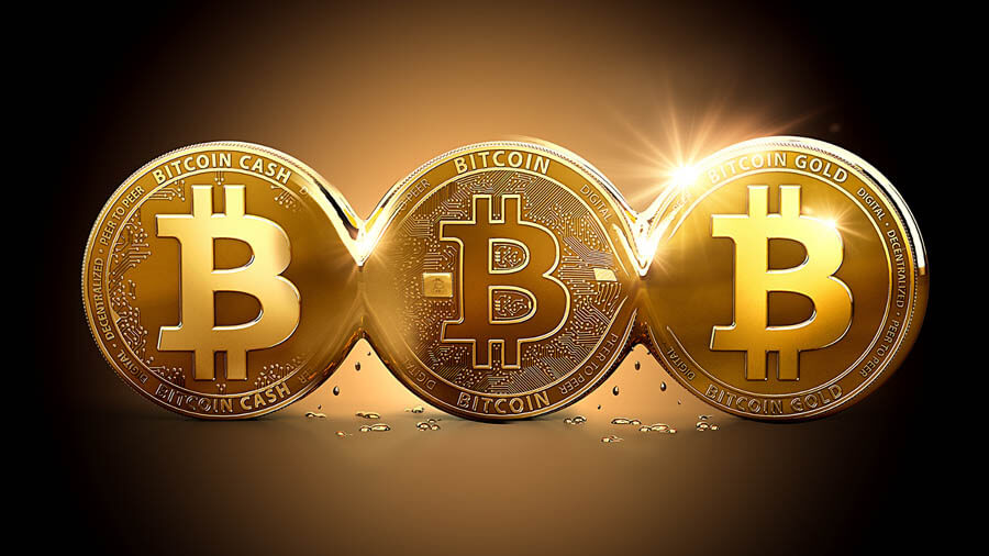 O Que E Bitcoin Cash E Bitcoin Gold Blog Bitpreco - 